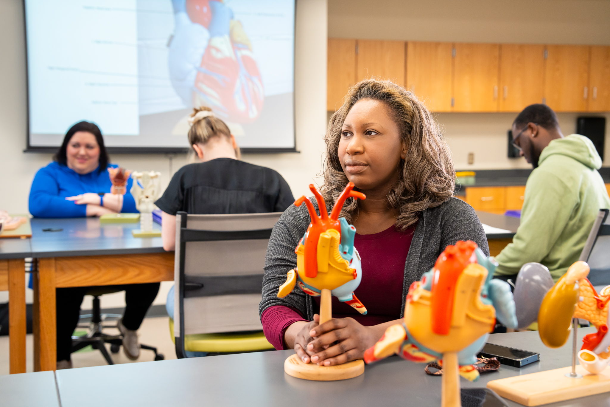 Studying human anatomy in the Health Science program at Texarkana College